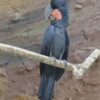 Black Palm Cockatoo Parrots For Sale - Image 3